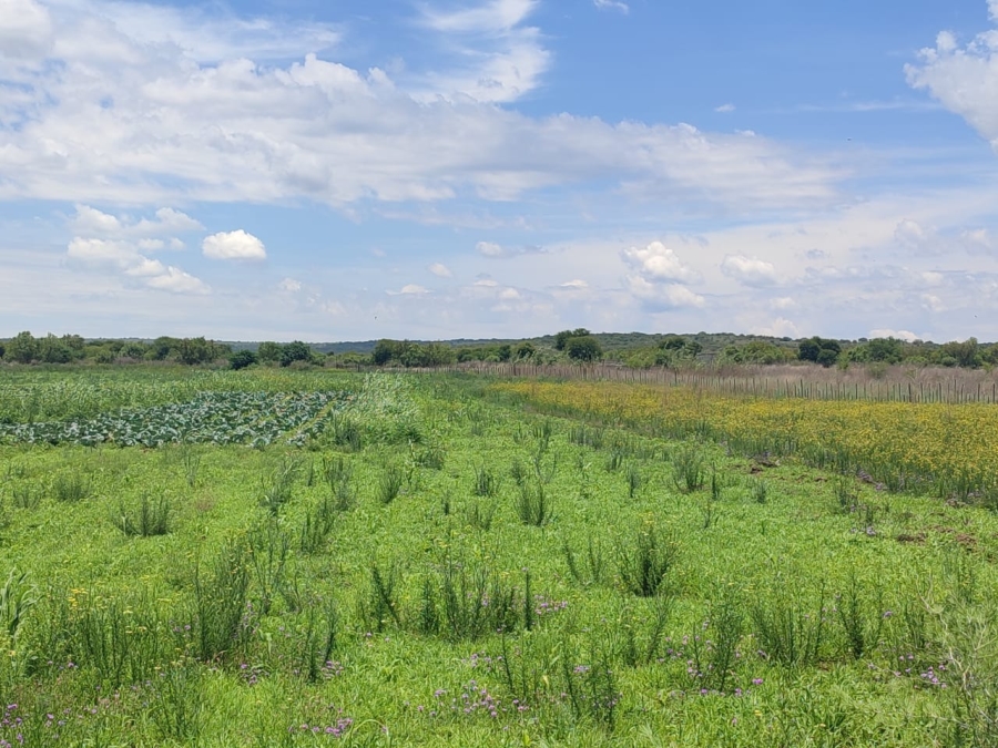 4 Bedroom Property for Sale in Swartruggens North West